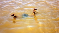 Hai chị em ruột đuối nước thương tâm tại hồ thuỷ lợi