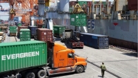 Tuyệt đối không để xảy ra ùn tắc ảnh hưởng đến lưu thông hàng hóa tại cảng biển