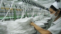 Sợi polyester Việt Nam bị Thổ Nhĩ Kỳ xem xét điều tra chống bán phá giá