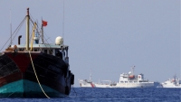 Mỹ cấm nhập khẩu hải sản của một công ty Trung Quốc vì cưỡng bức lao động