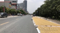 Hà Nội: Tình trạng phơi thóc lúa trên đường lại tái diễn gây mất an toàn giao thông