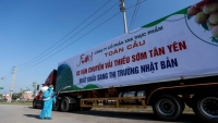 Tạo điều kiện ưu tiên “luồng xanh” cho hàng nông sản của Bắc Giang