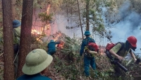 Thanh Hoá: Gác cả ngày để ngăn ngừa cháy rừng