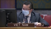 Việt Nam khẳng định ủng hộ chống phổ biến vũ khí hủy diệt hàng loạt