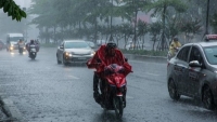 Dự báo thời tiết 7/6: Bắc Bộ, Thanh Hóa và Nghệ An có mưa vừa, mưa to và dông
