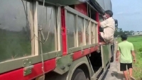 Thừa Thiên Huế: 8 người trốn trong thùng xe tải để tránh chốt kiểm soát Y tế