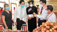 Vải thiều Bắc Giang: Cơ hội khẳng định thương hiệu khi xuất khẩu