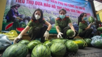 Hội phụ nữ Công an TP.Hà Nội hỗ trợ tiêu thụ 13 tấn dưa hấu Bắc Giang