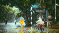 Dự báo thời tiết 11/6: Cảnh báo mưa lớn ở Bắc Bộ, Thanh Hóa và Nghệ An