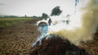 Hà Nội: Việc đốt rơm rạ làm phát sinh 163,3 tấn bụi mịn và 23.000 tấn CO2