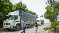 Hà Nội: Xe đầu kéo quá tải 50-100%, bị xử phạt 36 triệu đồng trên tuyến đê Phù Đổng