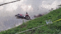Hà Nội: Phát hiện một nam thanh niên tử vong dưới ruộng lúa