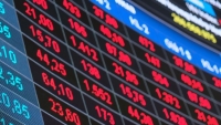 Cổ phiếu ngân hàng thi nhau nằm sàn, Vn-Index giảm ‘sốc’