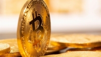 Giá Bitcoin xuống dưới 30.000 USD, thị trường tiền số bốc hơi gần 100 tỷ USD