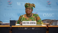Tổng giám đốc WTO: Tình trạng bất bình đẳng về vaccine vẫn còn nhiều thách thức