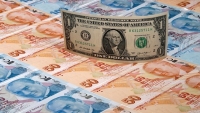 Tỷ giá ngoại tệ hôm nay 24/7: Đồng đô la Mỹ tiếp tục tăng giá