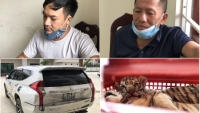 Nghệ An: Bắt quả tang xe ô tô chở trái phép 7 cá thể hổ đi tiêu thụ