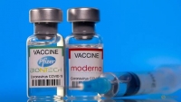 Pfizer và Moderna tăng giá vắc xin COVID-19 ở Liên minh châu Âu