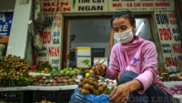 Hà Nội: Nhà hàng, bún phở, shop quần áo chuyển sang bán thịt lợn, rau, hoa quả…