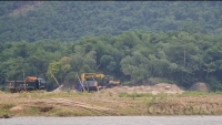Thanh Hoá: Sau một năm, mỏ cát 177 tiếp tục được lên sàn đấu giá