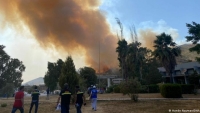 Cháy rừng đe dọa nhà máy điện Thổ Nhĩ Kỳ, nhiều công nhân phải sơ tán