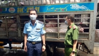 Bắc Giang: Phát hiện hàng loạt vận chuyển động vật trái phép, phạt 10,75 triệu đồng