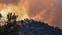 Hơn 40 người thiệt mạng do cháy rừng ở Algeria