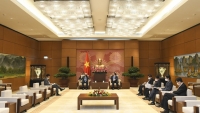 Tăng cường hợp tác, kết nối giữa Quốc hội Việt Nam với các hoạt động của Liên hợp quốc