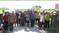 Hà Tĩnh chỉ đạo kiểm tra, xử lý dự án chăn nuôi của Công ty Khánh Giang