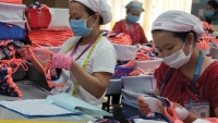 Thừa Thiên Huế: Hỗ trợ hơn 4,1 tỷ đồng cho người lao động gặp khó khăn do dịch Covid-19