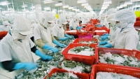 Đưa Việt Nam trở thành trung tâm chế biến thủy sản của thế giới vào năm 2030
