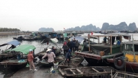 Quảng Ninh: Trích kinh phí hỗ trợ người lao động bị ảnh hưởng dịch Covid-19