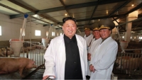 Triều Tiên: Gia súc chết liên tục, giá thịt giảm mạnh liệu có liên quan?