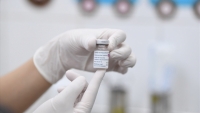 Hơn 501.000 liều vaccine COVID-19 do Ba Lan viện trợ đã về tới Việt Nam
