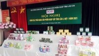 Lào Cai có 100 sản phẩm đạt tiêu chuẩn OCOP của Nhật Bản