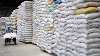 Xuất cấp hơn 15.350 tấn gạo hỗ trợ TP Hồ Chí Minh và tỉnh Long An