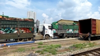 Ngành đường sắt vận chuyển gần 1.000 tấn hàng hóa hỗ trợ miền Nam chống dịch COVID-19