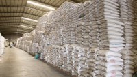 Xuất cấp 134.293 tấn gạo từ nguồn dự trữ quốc gia hỗ trợ người dân tại 27 địa phương