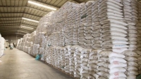 Chuẩn bị “xuất” kho gạo đợt 2, hỗ trợ 4,74 triệu lao động nghèo tại TP.HCM