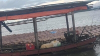 Quảng Ninh: Đi câu cá ở biển, người đàn ông bị sét đánh tử vong