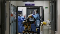 Úc: Số bệnh nhân Covid cao gấp 5 lần khả năng của bệnh viện