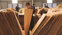 Hiệp hội gỗ và lâm sản: “Ngân hàng đã giảm lãi suất, nhưng không thấm là bao”