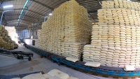 Thường vụ Quốc hội bổ sung gần 2.200 tỷ đồng mua bù gạo dự trữ quốc gia