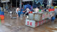 Mở lại hoạt động tập kết và trung chuyển tại chợ lớn nhất TP. Hồ Chí Minh