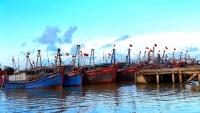 Thanh Hoá: Ba tàu cá bị mất liên lạc