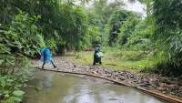 Vẫn chưa liên lạc được với 37 người dân Thừa Thiên Huế khi vào rừng làm rẫy