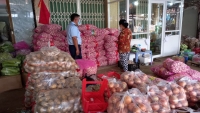 Phát hiện 4,2 tấn tỏi Trung Quốc vi phạm nhãn mác tại Tiền Giang