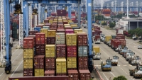 Các hãng tàu toàn cầu có một năm kinh doanh béo bở khi nhu cầu hàng hóa tăng đỉnh điểm