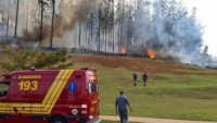 7 người thiệt mạng trong vụ tai nạn máy bay tại Brazil