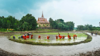 Triển khai hiệu quả Chương trình phát triển kinh tế - xã hội vùng đồng bào dân tộc thiểu số tại ĐBSCL